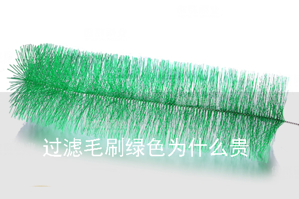過(guò)濾毛刷綠色為什么貴 過(guò)濾毛刷綠色為什么貴